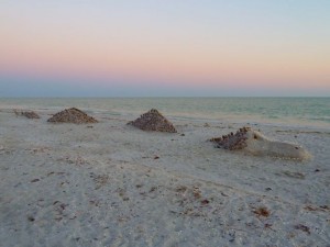 Sanibel Ness Monster