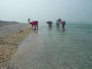 Sanibel Stoop