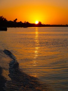 Sanibel Sunset Sanibel Sunset
