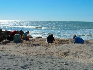 Seashell Sit N Sifters Seashell Sit N Sifters
