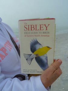 Sibley bird book