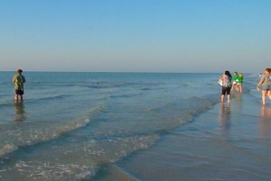 Beachcombers with dolphins