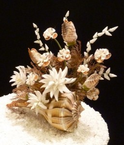 Blue Ribbon Hobbyist Victoria Ross Blue Ribbon Hobbyist Victoria Ross