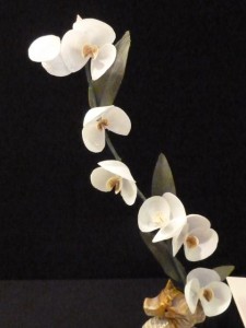 Blue Ribbon single stem hobbyist Donna Carey Blue Ribbon single stem hobbyist Donna Carey