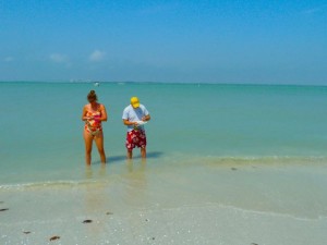 Finding seashells on Sanibel