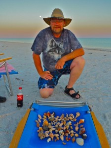 Full moon seashells