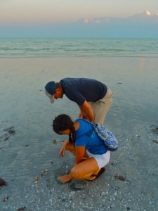 Low tide local shellers