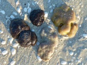 Not tar balls