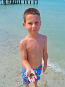 Sanibel boy sea cucumber