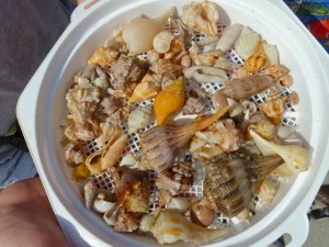 Sanibel seashells strainer