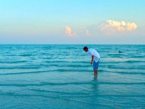 Sanibel shell seeker