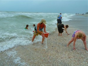 Sanibel stoopers