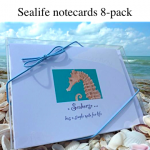 Sealife notecards Sealife notecards