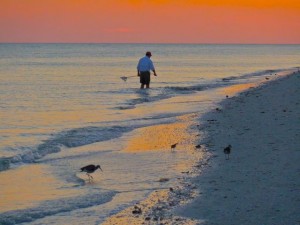 Seashell seekers