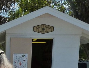 Shell Shed Shell Shed