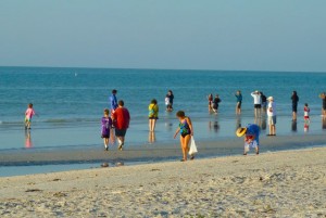 Shellers watching dolphins