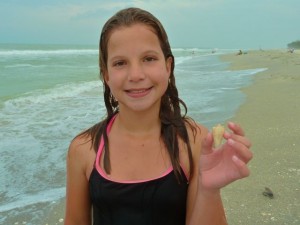 Teenager find seashells
