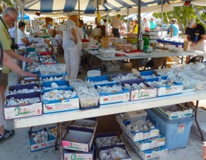 Boxes of seashells Boxes of seashells