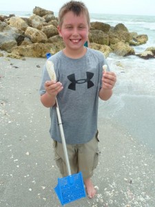 boy with angel wing seashell