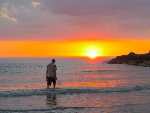 collecting seashells at sunset