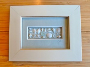 framed miniature shells framed miniature shells