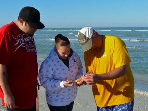 giving seashells