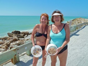seashell collectors Captiva