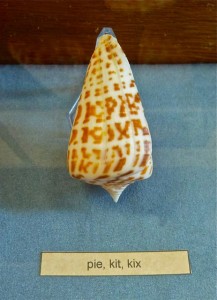 word on alphabet cone