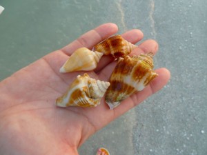 Aimee fighting conchs