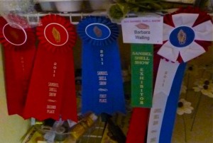 Barb Walling ribbons Barb Walling ribbons