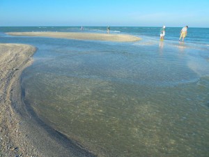 Captiva sandbar