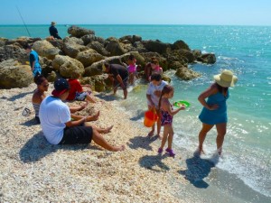 Collecting Sanibel Six Seashells Collecting Sanibel Six Seashells