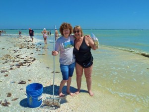 Lighthouse shellers