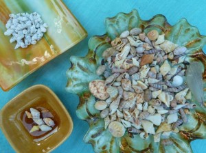 Miniature seashell collection Miniature seashell collection