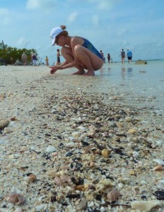 Sanibel squat Sanibel squat