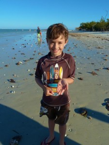 boy shells with melampus shell boy shells with melampus shell