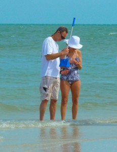 finding seashells finding seashells