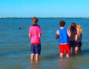 kids with wild dolphin