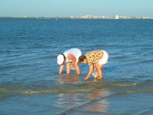 ladies collecting shells