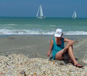 seashells sailboats seashells sailboats