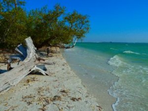 High Tide sanibel Lighthouse High Tide sanibel Lighthouse