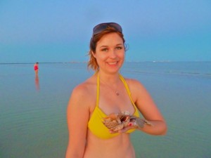 Katie arm shells Sanibel