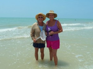 Penny Faye shell Sanibel