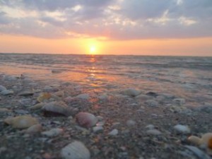 Sanibel Island seashell sunset Sanibel Island seashell sunset