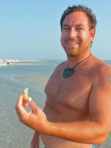 Sanibel Scott junonia shell Sanibel Scott junonia shell