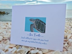 Sea Turtle note card Sea Turtle note card