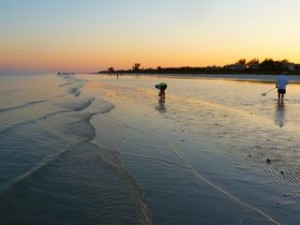 Tidal pool Sanibel Island