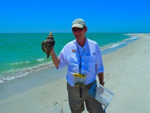 clark with horse conch clark with horse conch