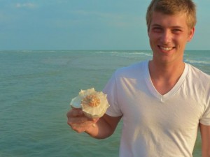 derek whelk shell close derek whelk shell close