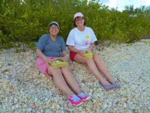 seashells by cindy patty seashells by cindy patty